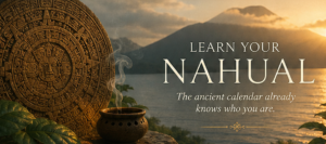 nahual email hero image