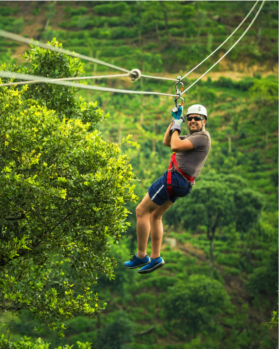 Moth 10 Man ziplining through jungle canopy, grinning