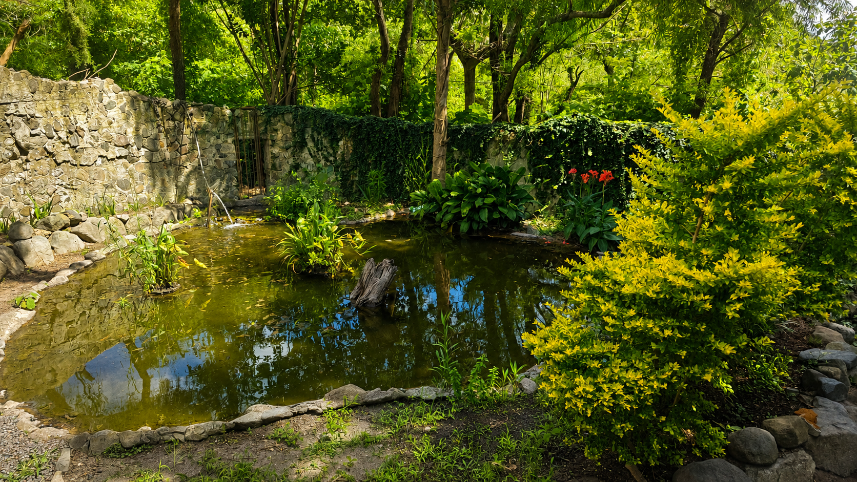 The koi pond at Tori and Tye Adekoya's home, where The Caterpillar private healing immersion is held near Lake Atitlán, Guatemala